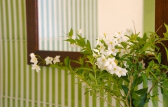 019-Bathroom-Detail-Montecucco.jpg