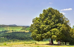 035-External-7-Montecucco.jpg