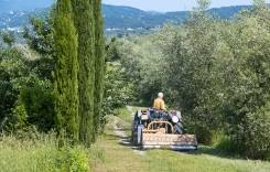 aa