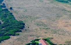 aer1