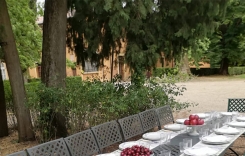 Garden2.jpg