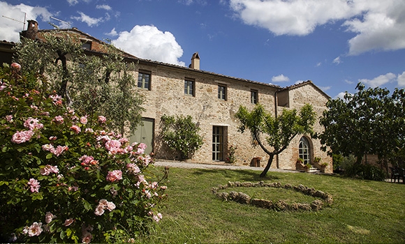 Olivella